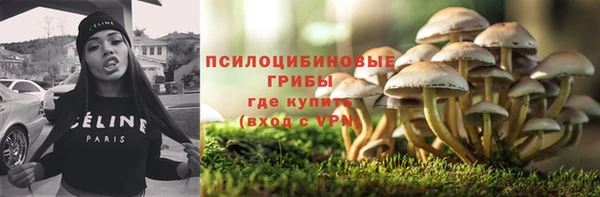 меф Горняк