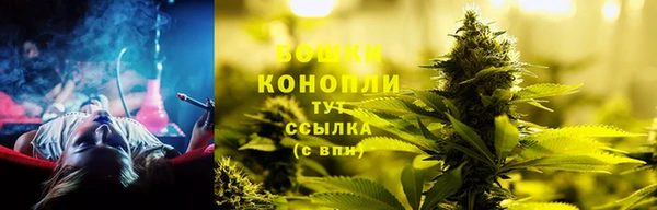 трава Богородицк