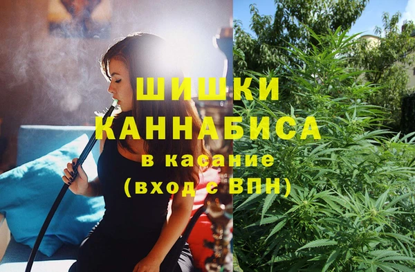 эйфоретик Богородск