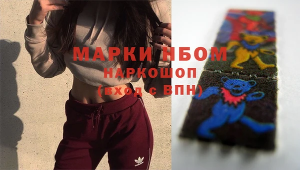 трава Богородицк