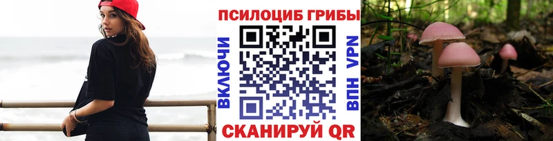 Псилоцибиновые грибы мицелий  закладка  Межгорье 